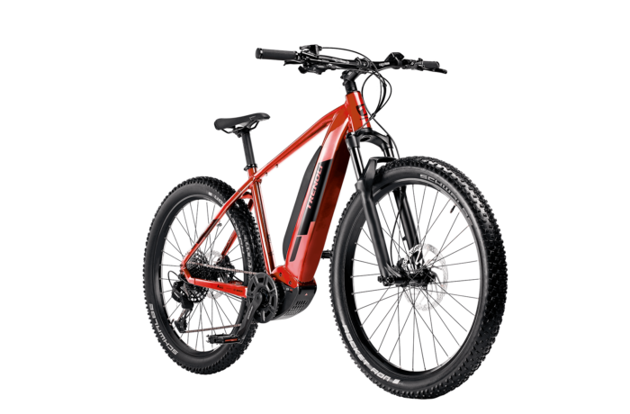 E-Bike